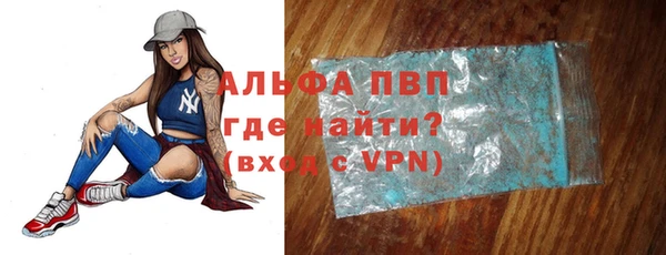 сатива Аркадак