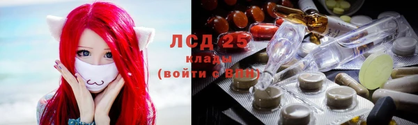 прущая мука Арсеньев