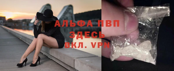 сатива Аркадак