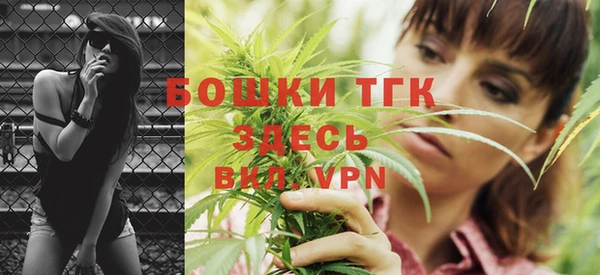 сатива Аркадак