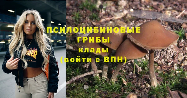 прущая мука Арсеньев