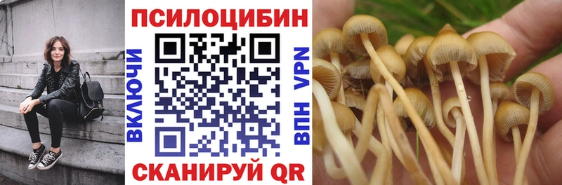 Галлюциногенные грибы Psilocybine cubensis  мориарти Telegram  Барыш 